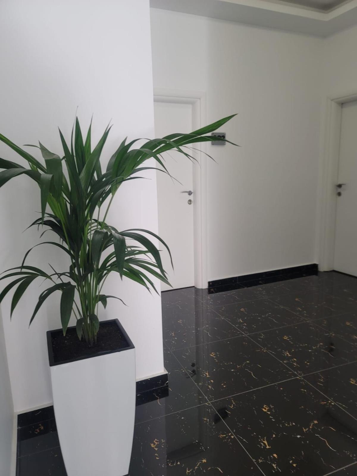 Hotel Myrtai - City Center Sarandë 외부 사진